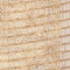 Cream Elegance Saree